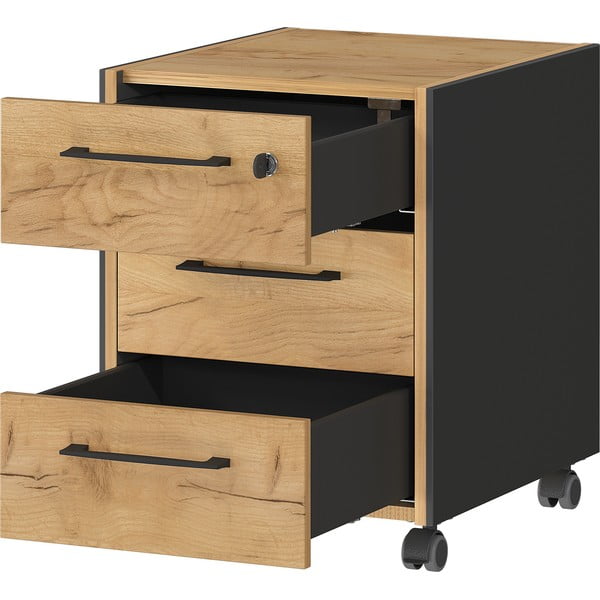 Antracito spalvos/natūralios spalvos spintelė iš ąžuolo 42x54x49 cm Podium – Germania-image-2