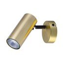 Auksinės spalvos iš metalo taškinis šviestuvas 8x16 cm Colly – Candellux Lighting