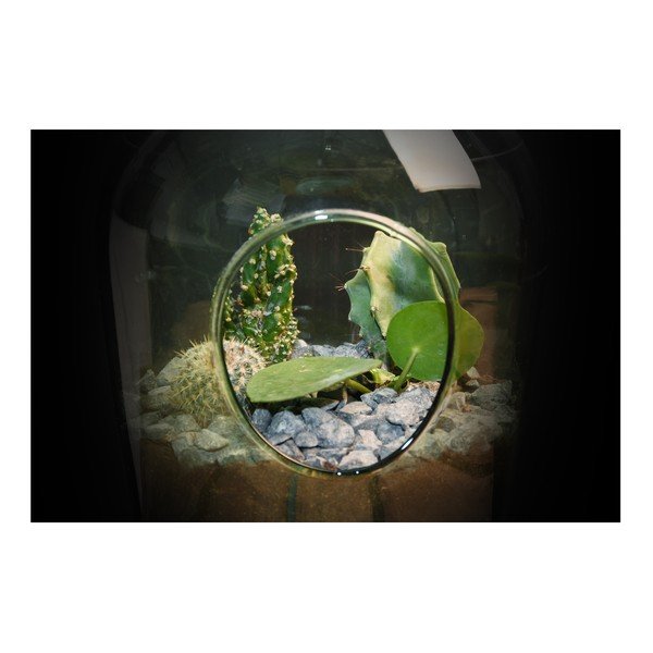Esschert Design aerariumas, 3 l-image-1