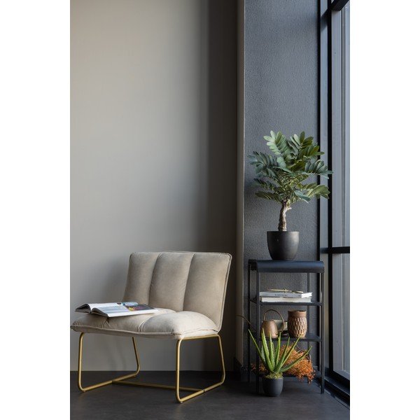 Dirbtinis alavijas WOOOD, aukštis 46 cm-image-2