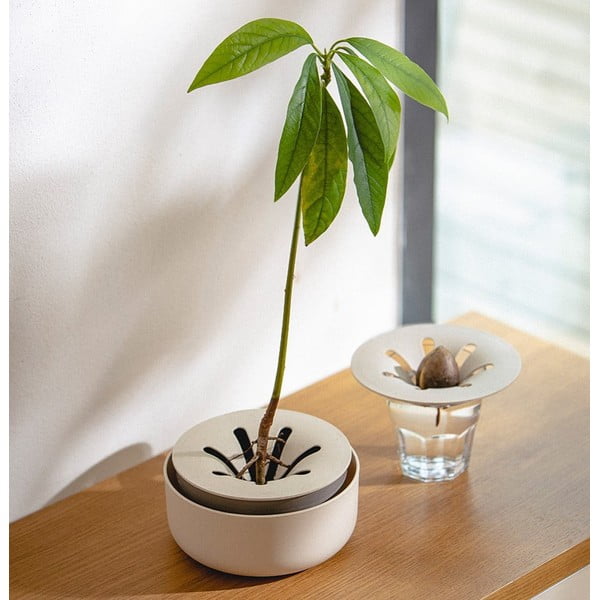 Daiginimo dubuo, ø 16 cm Regrow - Plastia-image-1