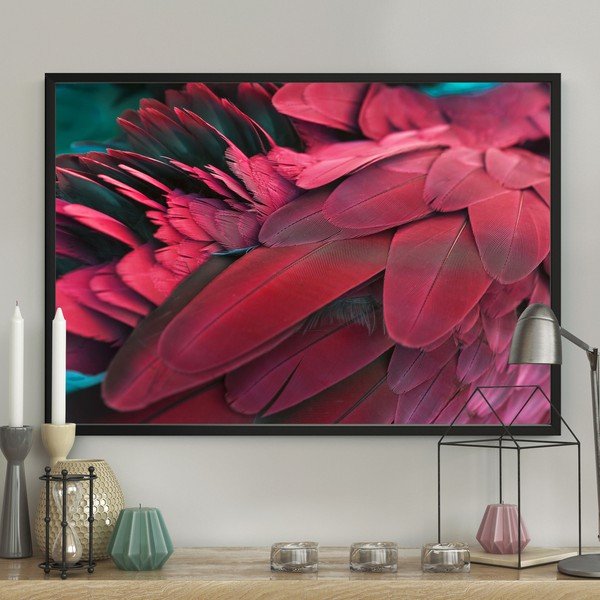 Plakatas "DecoKing Feathers Red", 100 x 70 cm-image-1
