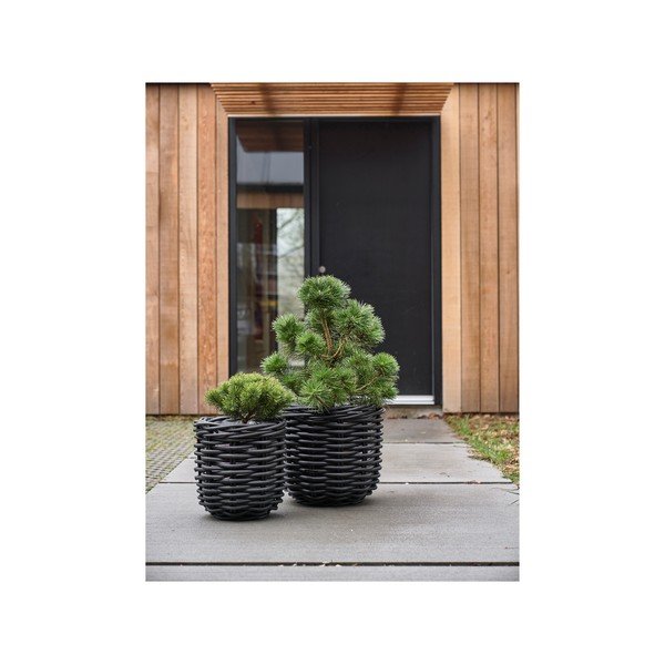 Iš rotango vazonai 2 vnt. ø 52 cm Vilda – Villa Collection-image-3
