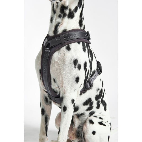 Dirželis tamsiai pilkos spalvos L ilgis 42 cm Modena Asphalt L – MiaCara-image-2