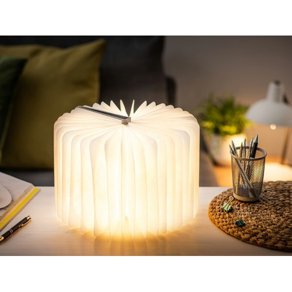 Pilkos spalvos šviečianti dekoracija USB Booklight – Gingko-image-4