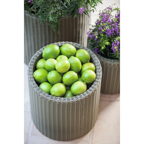 Pilkas vazonas Keter Planter, ø 35 cm-image-1