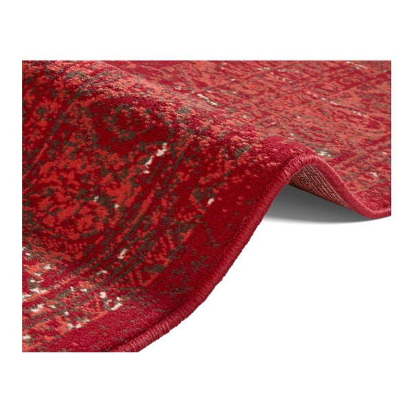 Raudonas kilimas Hanse Home Celebration Plume, 120 x 170 cm-image-2