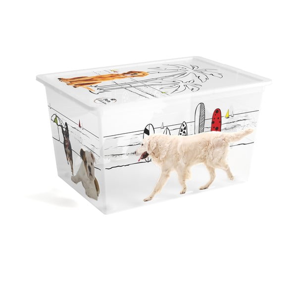 Baltos spalvos iš plastiko daiktadėžė su dangčiu 55x39x31 cm C Box Style – KIS