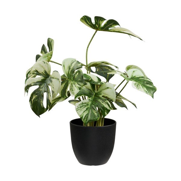 Dirbtinė gėlė (aukštis 41 cm) Monstera – House Nordic