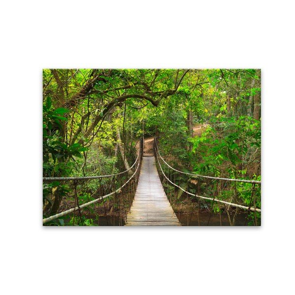 Styler Glas Nature Forest Bridge, 80 x 120 cm