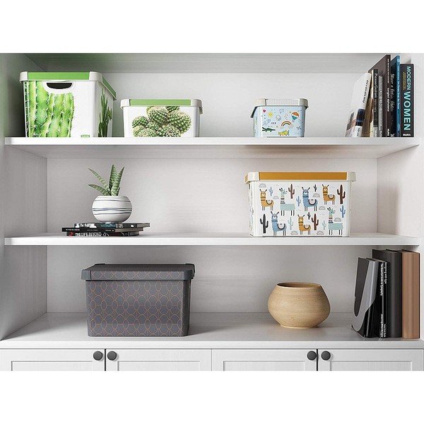 Tamsiai pilka daiktadėžė su dangčiu Curver Art Deco, 22 l-image-1