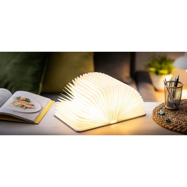 Pilkos spalvos šviečianti dekoracija USB Booklight – Gingko-image-1