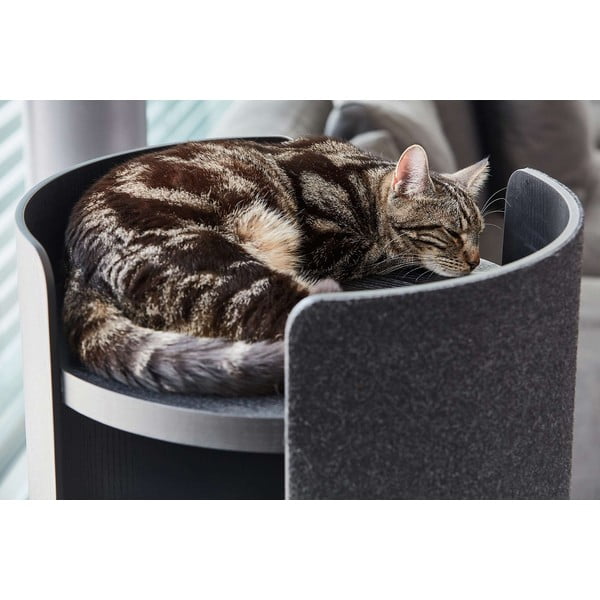 Draskyklė katei Torre Ash Black S – MiaCara-image-1