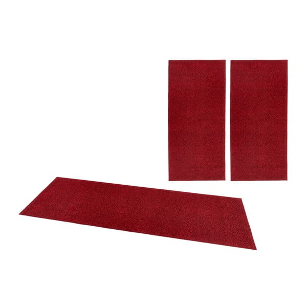3 raudonų kilimų rinkinys Hanse Home Pure