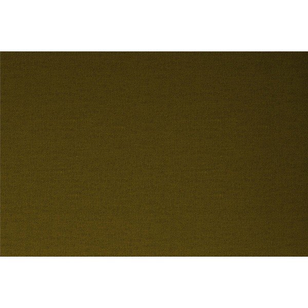 Žalia miegamoji sofa Novogratz Brittany-image-1