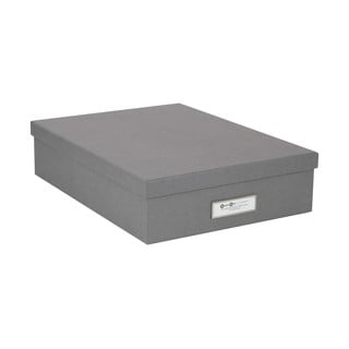 Pilkos spalvos dokumentų saugojimo dėžutė su vardine etikete Bigso, A4 dydžio