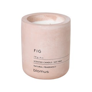 Sojos vaško žvakė, figų aromato Blomus Fraga
