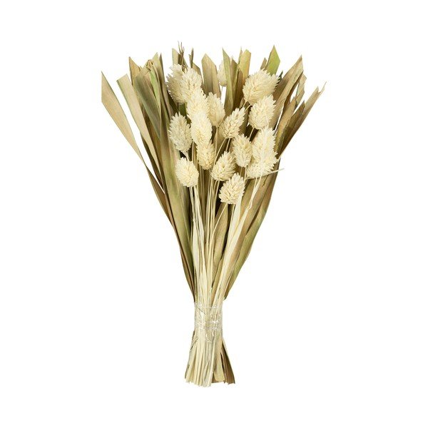 Dirbtinės gėlės Phalaris - Sema