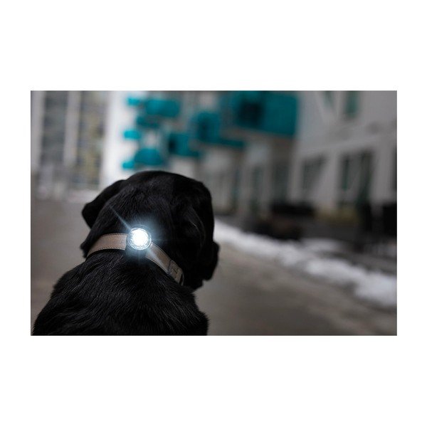 LED apykaklės apšvietimas Dark - Orbiloc-image-4