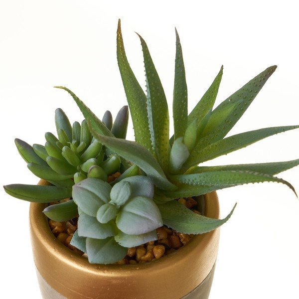 Dirbtiniai augalai 4 vnt. (aukštis 17 cm) Cactus – Casa Selección-image-3
