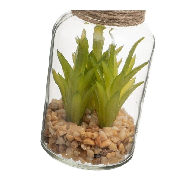 Dirbtiniai augalai 4 vnt. (aukštis 12 cm) Cactus – Casa Selección-image-4