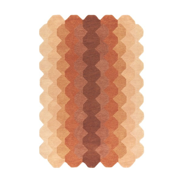Kilimas iš vilnos raudonos plytų spalvos 200x290 cm Hive – Asiatic Carpets