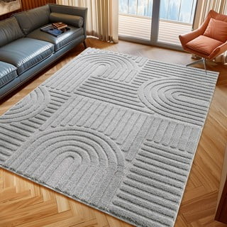 Kilimas šviesiai pilkos spalvos 160x230 cm Art – Ayyildiz Carpets