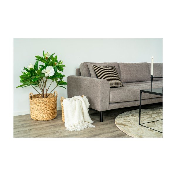 Dekoratyvinė pagalvėlė 43x43 cm Serpa – House Nordic-image-3