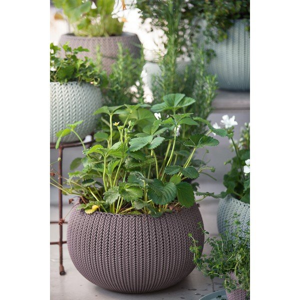Iš plastiko pakabinamas ir sieninis vazonas ø 36 cm Cozy – Keter-image-1