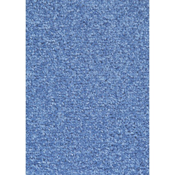 Mėlynas bėgikas Hanse Home Nasty, 80 x 200 cm-image-1