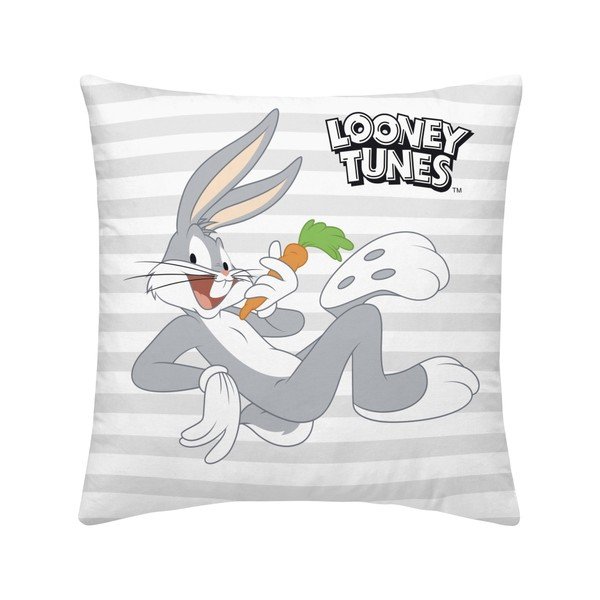 Vaikiškos pagalvės 2 vnt. Looney Tunes – Casa Selección-image-1