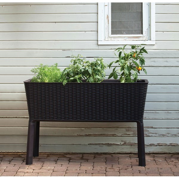 Vazonas gėlėms Easy Grow – Keter-image-1