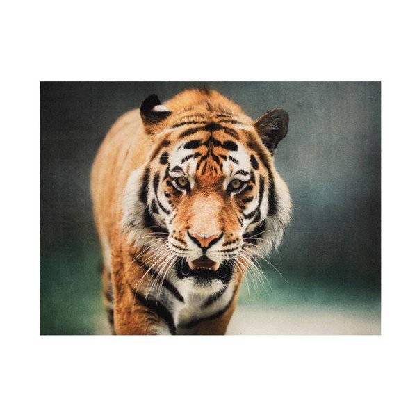 Kiliminė danga Hanse Home Tiger, 190 x 140 cm