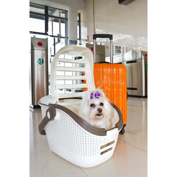 Balta transportavimo dėžė augintiniui Curver Vintage-image-1