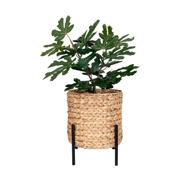 Iš vandens hiacinto vazonas ø 24 cm Antas – House Nordic-image-2