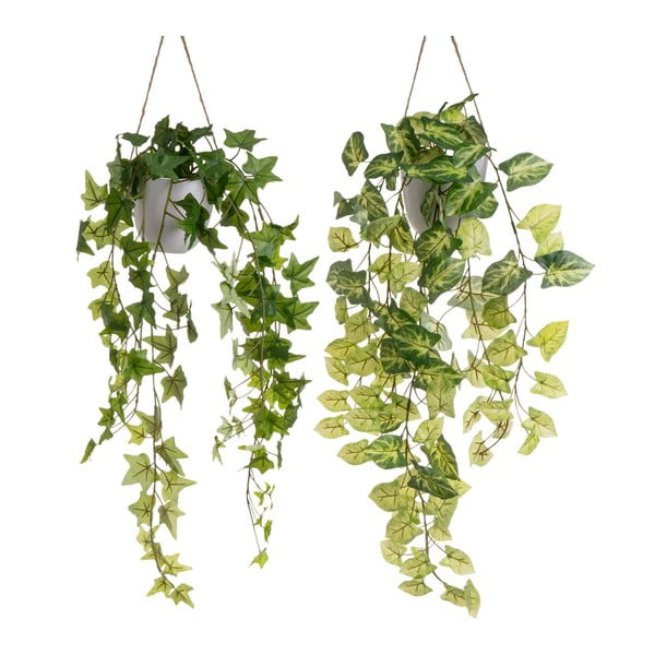 Dirbtiniai augalai 2 vnt. (aukštis 55 cm) – Casa Selección