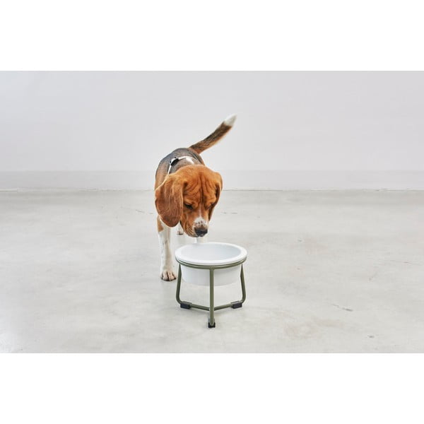 Iš porceliano dubuo su pagrindu šuniui ø 20 cm Pranzo Grolive M – MiaCara-image-2