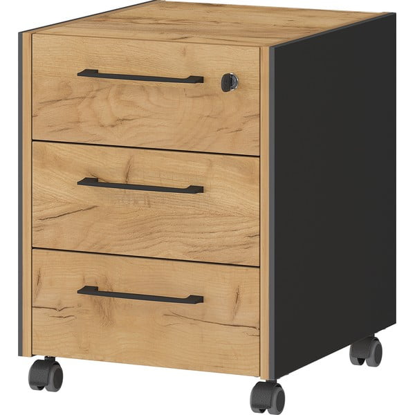 Antracito spalvos/natūralios spalvos spintelė iš ąžuolo 42x54x49 cm Podium – Germania-image-3