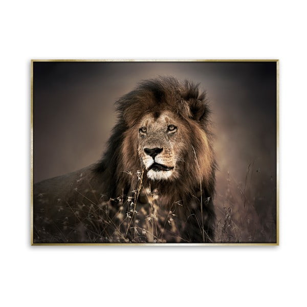 Liūto paveikslas ant drobės Styler Auksinis liūtas, 62 x 82 cm