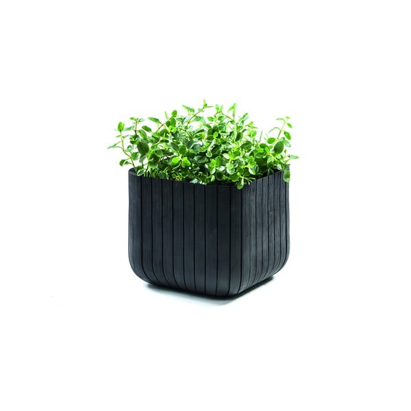 Iš plastiko vazonas Cube – Keter-image-2