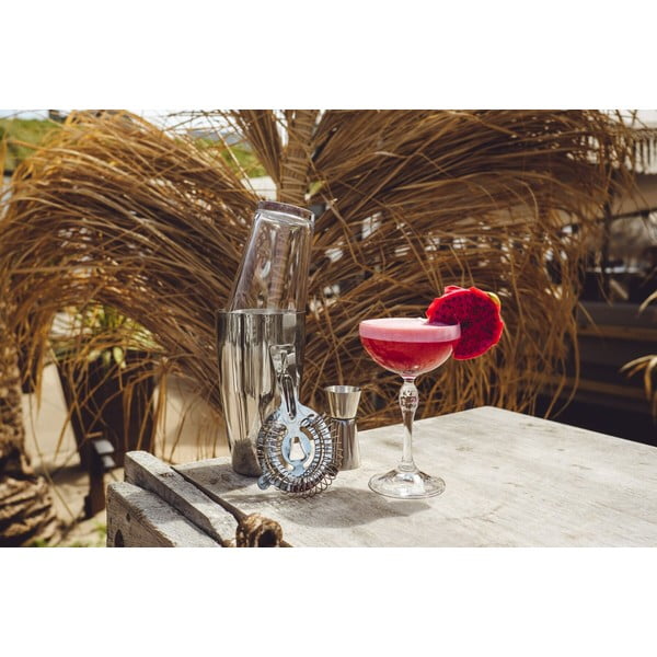 Nerūdijančio plieno kokteilių rinkinys Boston - Leopold Vienna-image-4