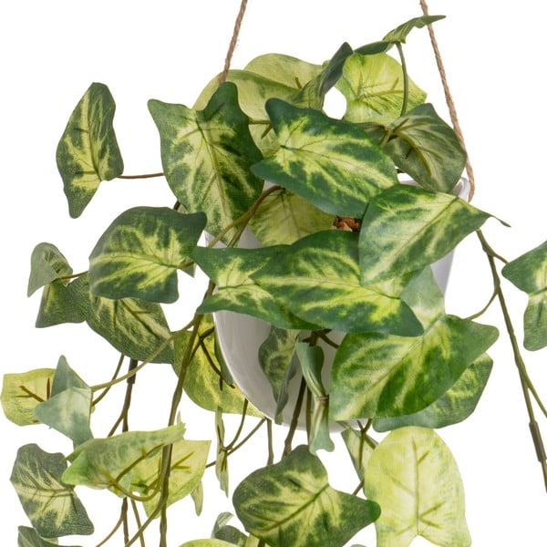 Dirbtiniai augalai 2 vnt. (aukštis 55 cm) – Casa Selección-image-3