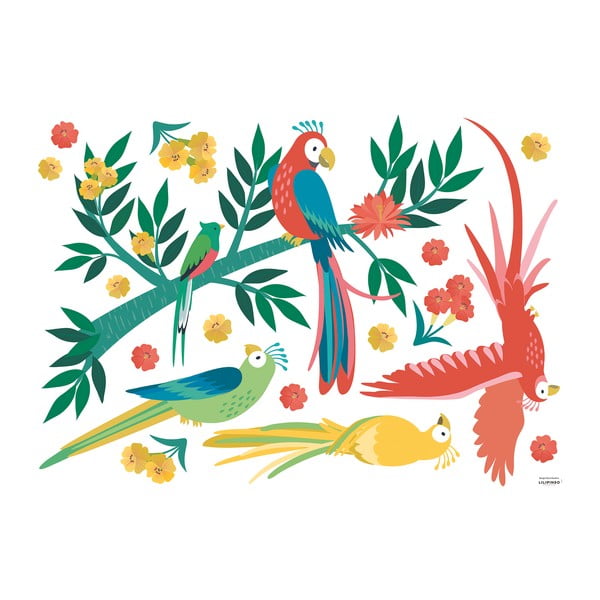 Lipdukų lapas 90x64 cm Parrots – Lilipinso