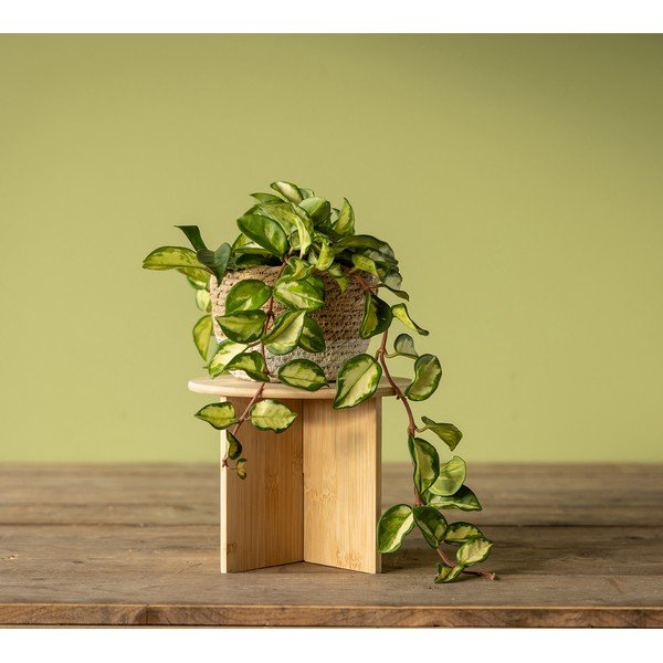 Iš bambuko gėlių stovas ø 25 cm (aukštis 19,5 cm) – Esschert Design-image-1