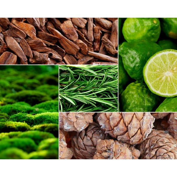 Aromatinė žvakė iš sojų vaško degimo laikas 60 h Oud & Bedgamote – Privé Home-image-1