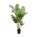 Dirbtinė palmė (aukštis 175 cm) Areca – House Nordic