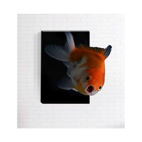 3D sienų tapyba "Mosticx Nemo", 40 x 60 cm