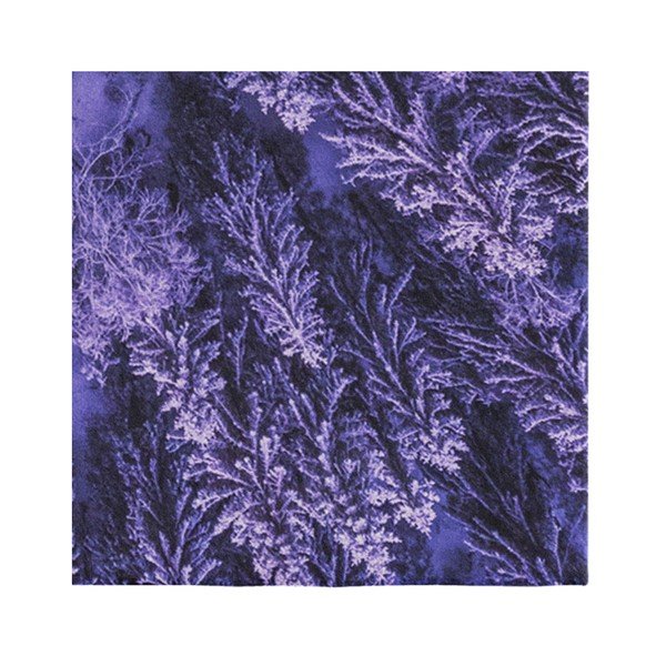 Violetinis kilimas Oyo home Suzzo Flower, 140 x 220 cm-image-3
