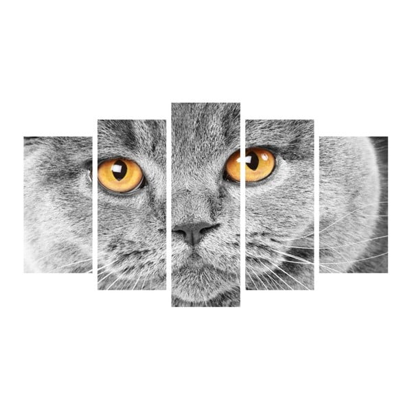 Insigne Katės akys, kelių dalių paveikslas, 102 x 60 cm