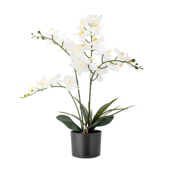 Dirbtinė gėlė (aukštis 84 cm) Orchid – Bloomingville